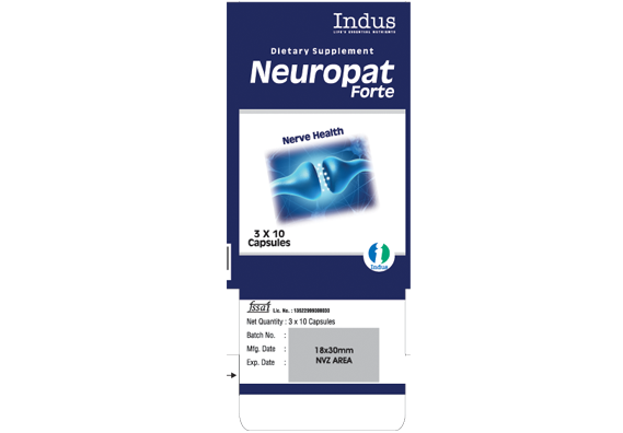 neuro-2